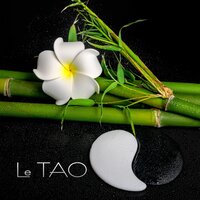 Art de la longévité - Buddhist Méditation Académie