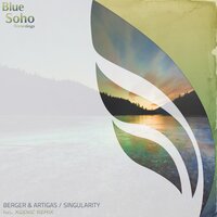 Singularity - Berger & Artigas & XGenic