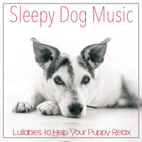Wagging Tail - RelaxMyDog & Dog Music Dreams & Pet Music Therapy