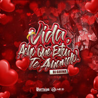 Vida, Acho Que To Te Amando - DJ Guina