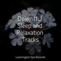 To the Moon - Cascada de Lluvia & Massage & Masters of Binaurality
