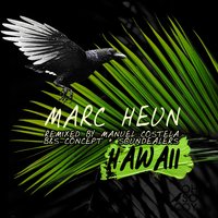 Hawaii - Marc Heun & Manuel Costela