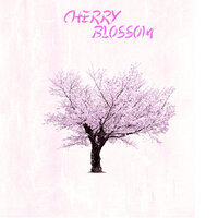 Cherry Blossom - Y1 & Purpose & Coast & Miggy