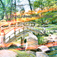 на лугах - Sounds of Nature Noise