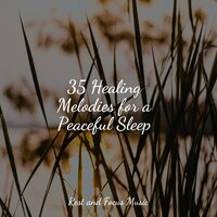Wind Through Windows - Trouble Sleeping Music Universe & Binaural Beats Brain Waves Isochronic Tones Brainwave Entrainment & Smart Baby Lullaby
