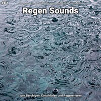 Regen Sounds, pt. 13 - Regengeräusche zum Einschlafen Martin Jenton & Regengeräusche & Naturgeräusche