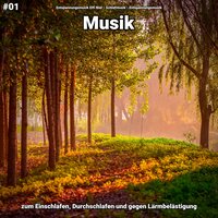 Entspannungsmusik pt. 59 - Entspannungsmusik Elfi Niel & Schlafmusik & Entspannungsmusik