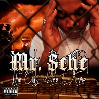 Like This - Mr. Sche