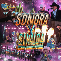 Tu Cariñito - Tambora Ritmo Express & Perdidos De Sinaloa