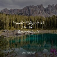 Crepúsculo Desde La Ventana - Lluvia & Música Relajante para Bebés & Academia de Música con Sonidos de la Naturaleza