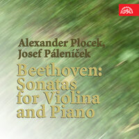 Violin Sonata No. 1 in D Major, Op. 12 No. 1: I. Allegro con brio - Josef Páleníček & Alexander Plocek & Ludwig van Beethoven