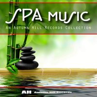 Healing Massage Music - Michael Silverman
