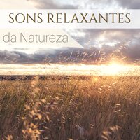 Música Relaxante para Dormir - Sons da Natureza Relax & Natureza & Natureza & Sons da Natureza Relax