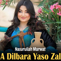 Bya Ka Chere Rashe - Nasurullah Marwat