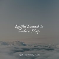 Cloudy Rays - Relaxing Sleep Music & Baby Sleep & Study Music