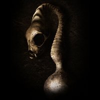 Who Controls - David Meiser & Black Asteroid & Tony Rohr & Layton Giordani