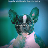 Inspiring Sleeping Dogs - Easy Listening Music for Dogs
