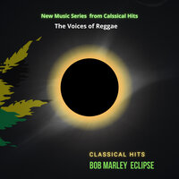 Buffalo Soldier - Classical Hits & The Voices Of Reggae