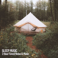 2 Hour of Forest Sounds And Music - Binaural Beats Sleep & Music for Dog's Ears & Deep Sleep Music Experience