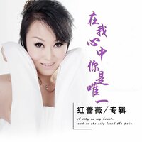 在我心中你是唯一 - 红蔷薇