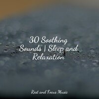Beauty Drops - Soothing White Noise For Infant Sleeping And Massage & White Noise for Baby Sleep & Zen Meditate