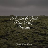 Relaxing Storm (Rain and Thunder) - Nature Sounds Radio & Academia de Meditação Buddha & Deep Sleep Brown Noise