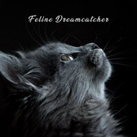 Feline Slumber - Cat Music
