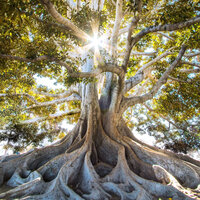 Resting during the day - Relaxing Guru & Yoga & Concentration Music for Work