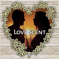 Falling In Love - Chansons d'amour