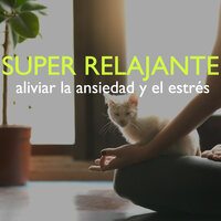 Musica para Aprender - Descansa