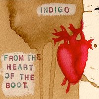 We're Accomplices - Indigo