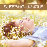 Calming Nature Sounds - Rainforest Music Lullabies Ensemble