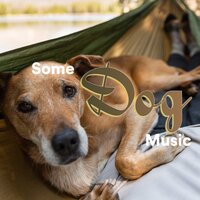 Good Vibe - Some Relaxing Music for Dogs & Some Dog Songs & Some Dog Music