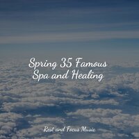 Flutters in the Breeze - The Sleep Specialist & Anxiety Relief & Deep Sleep Meditation