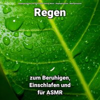 Regen zur Meditation - Regengeräusche zum Einschlafen Patrick Mazio & Regengeräusche & Naturgeräusche
