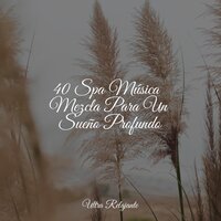 Sueño De La Galaxia - Natureza & Massagem Guru & Relajar