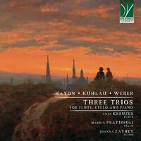 Trio for Flute, Cello and Piano in G Minor, Op. 63, J. 259: I. Allegro moderato - Anja Kreuzer & Martin Pratissoli & Joanna Zathey & Карл Мария фон Вебер