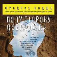 Фридрих Ницше. «По ту сторону добра и зла». Часть 4 - Андрей Леонов