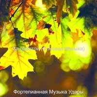 Видения (Учёба) - Фортепианная Музыка Удары