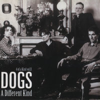 Tout Ce Qu'Elle Veut - Dogs