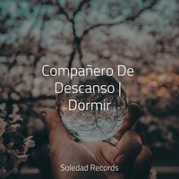 Cenizas Y Ascuas - Masaje Relajante Masters & Sonidos De La Naturaleza & Mantra para Meditar