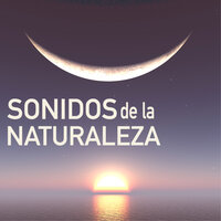 Naturaleza y Sitar - Sonidos de la Naturaleza Star