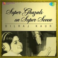 Bin Tere Mujhko Nazaron Ne Pareshan Kiya - Dilraj Kaur