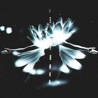 Balance - Phonkha