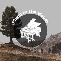 Beautiful Stillness - Piano Dreamers & Piano in the Woods/ Meditation Music therapy