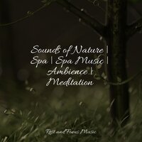 Treat Yourself - Buddhist Meditation Music Set & Música para Relaxar Maestro & Shakuhachi Sakano