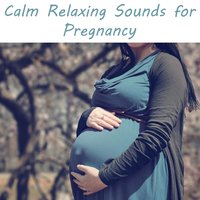 Time for Relax - Relaxing Sounds of Nature