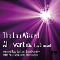 All I Want (Charlies Groove) - The Lab wizard