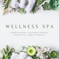 Music for Dreaming - Shades of Wellness