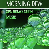 Hot Stone Therapy - Spa Music Paradise Zone